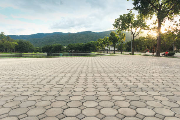 Best Interlocking Driveway Pavers  in Croydon, PA
